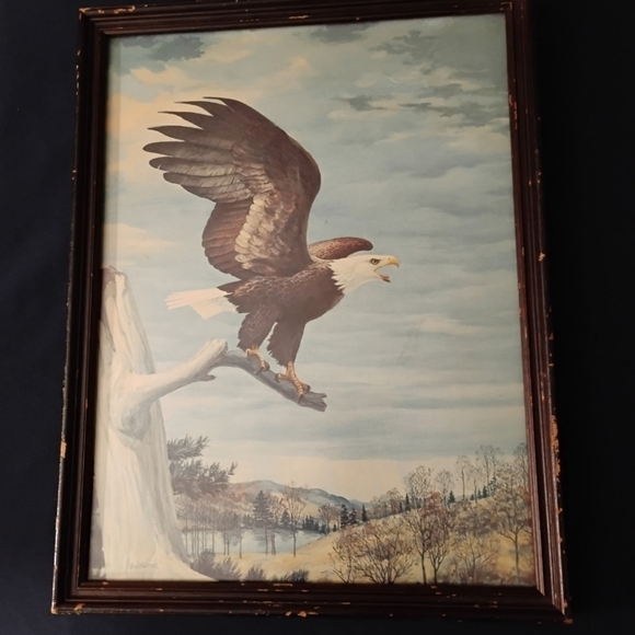 Other - Vintage Bald Eagle Print